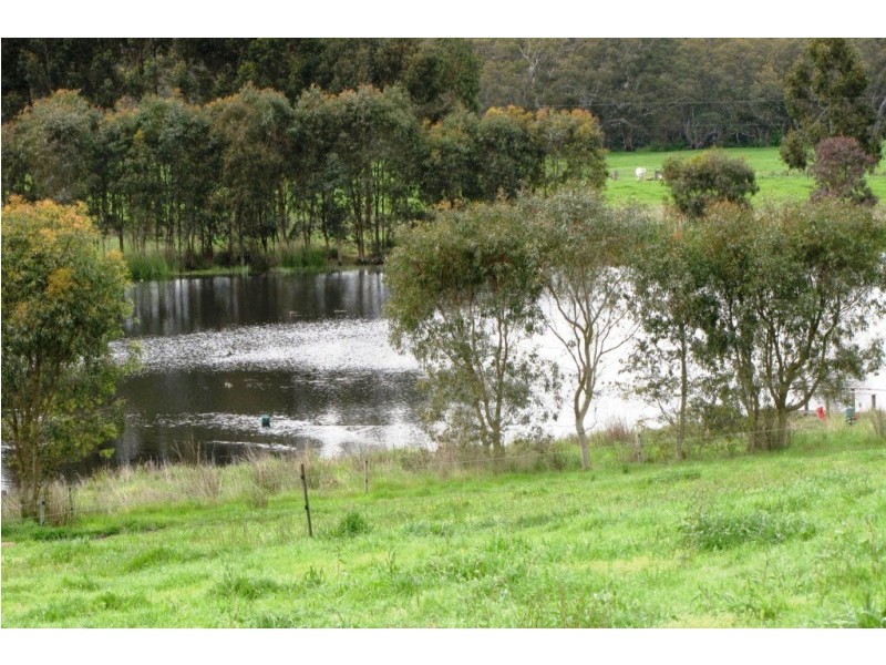249 Burrows Road, Dartmoor VIC 3304