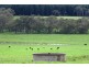 249 Burrows Road, Dartmoor VIC 3304