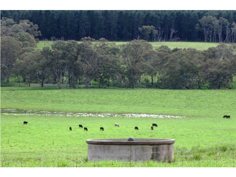 249 Burrows Road, Dartmoor VIC 3304