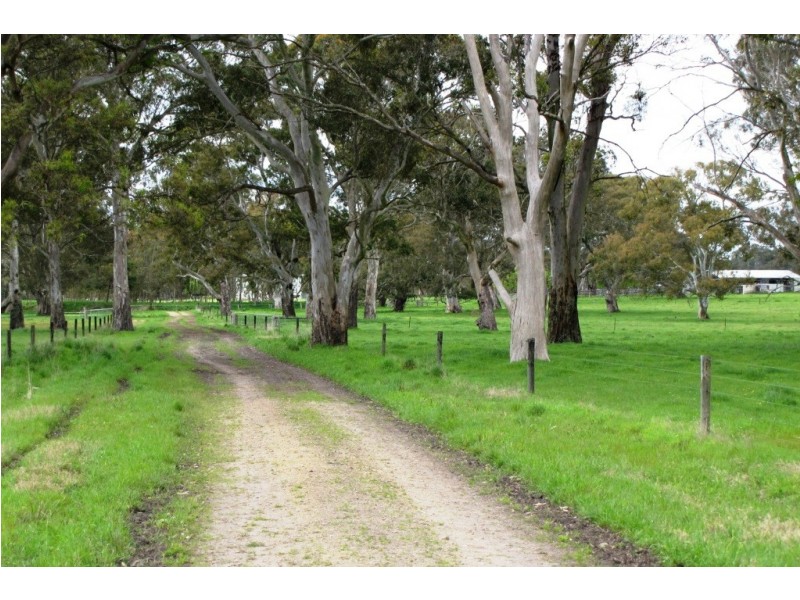 249 Burrows Road, Dartmoor VIC 3304