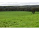 249 Burrows Road, Dartmoor VIC 3304