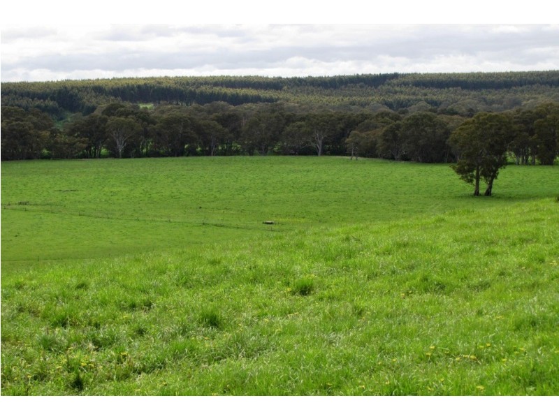 249 Burrows Road, Dartmoor VIC 3304