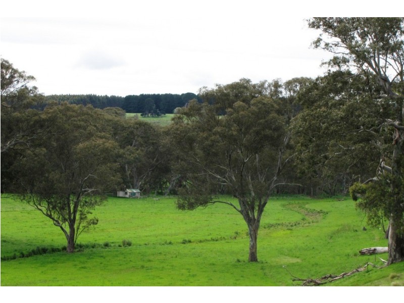 249 Burrows Road, Dartmoor VIC 3304