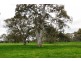 249 Burrows Road, Dartmoor VIC 3304