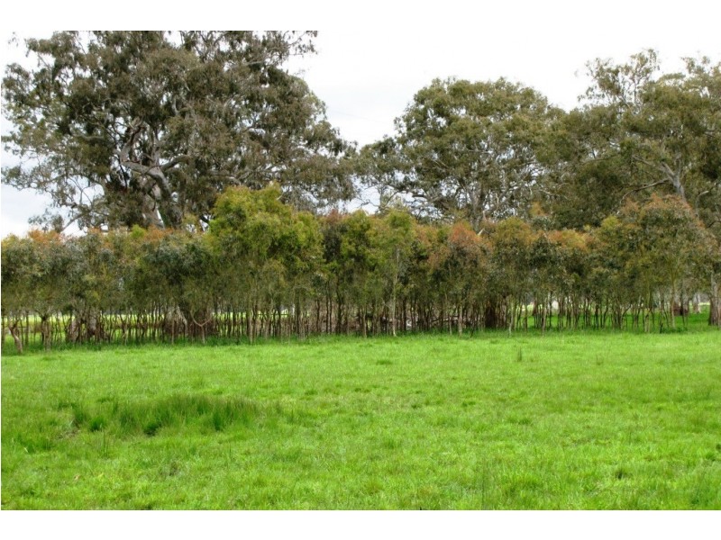 249 Burrows Road, Dartmoor VIC 3304