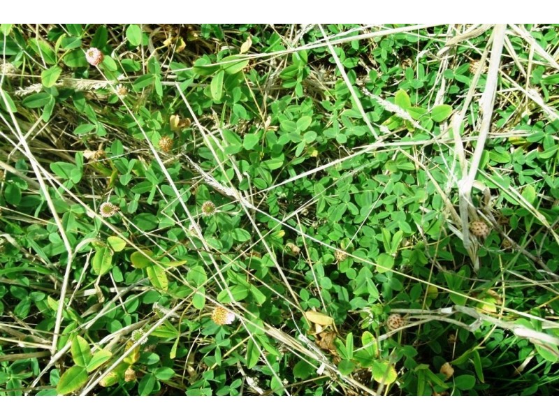 378 Stephens Road, Gorae West VIC 3305