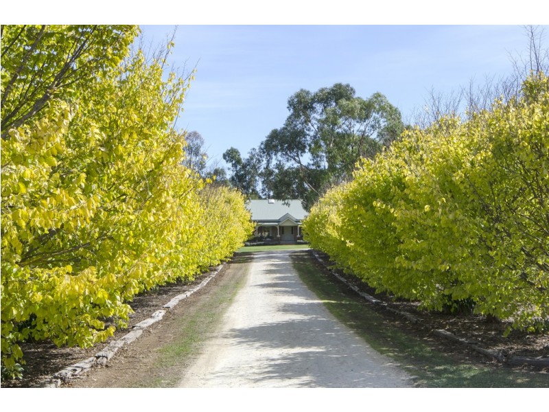 91 Wandilo Road, Suttontown, Mount Gambier SA 5290