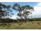 Lot 2 Mumbannar – Wanwin Road, Mumbannar VIC 3304
