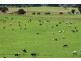Lot 12 Casterton Road, Glenburnie SA 5291