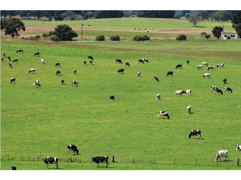 Lot 12 Casterton Road, Glenburnie SA 5291