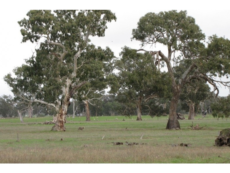 93 Racecourse Road, Kalangadoo, Mount Gambier SA 5290