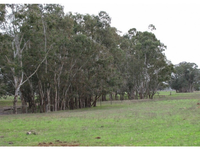 93 Racecourse Road, Kalangadoo, Mount Gambier SA 5290