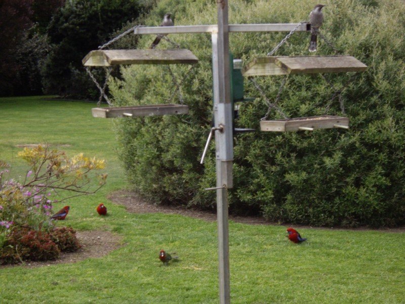 6332 Portland-Nelson Rd, Nelson, Mount Gambier SA 5290