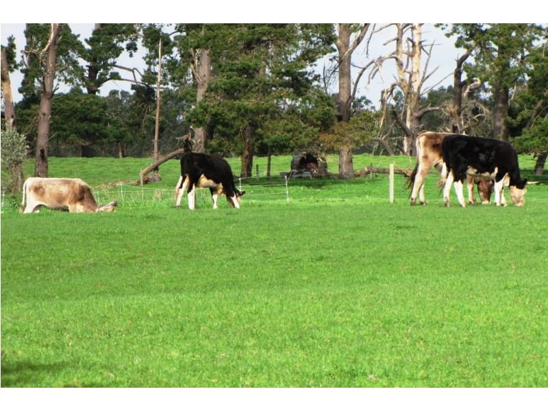 574 The Springs Road, Glencoe SA 5291