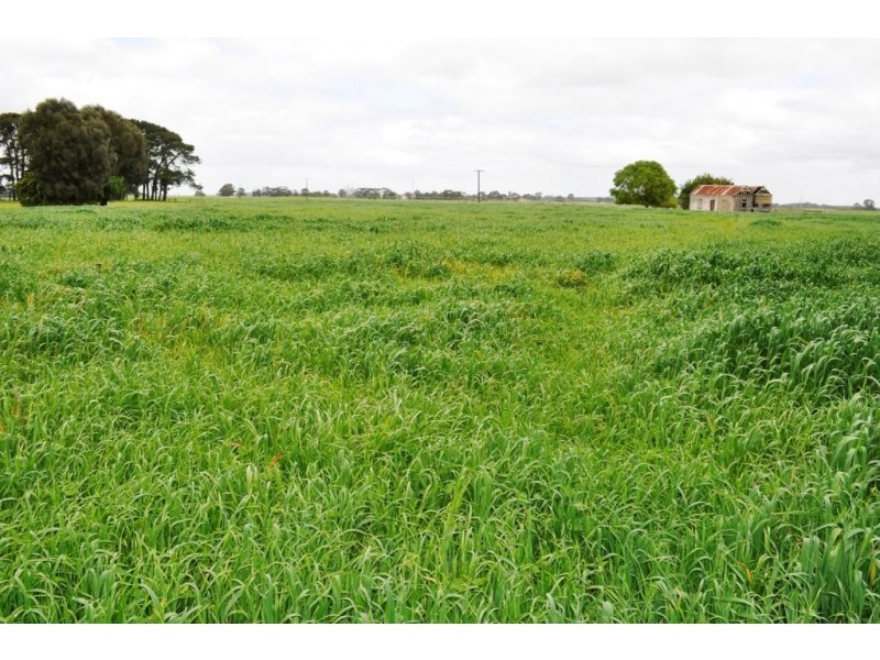 162 Fern Road, Mil Lel,, Mount Gambier SA 5290