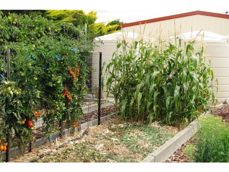 7 Coral Court, Mount Gambier SA 5290