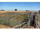 00 Sewarts Road, Allendale East SA 5291