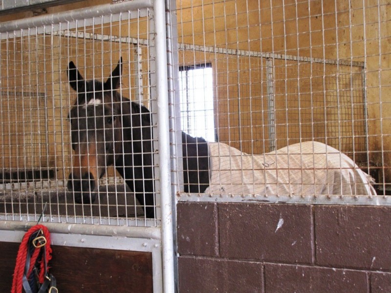 354 Yahl Road, Glenburnie SA 5291