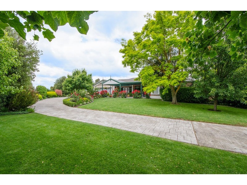 6 King  Grove, Mount Gambier SA 5290