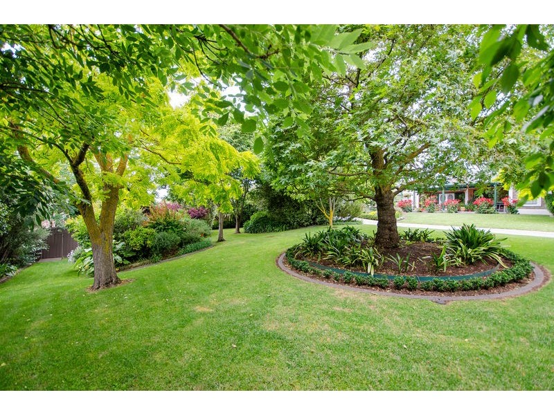 6 King  Grove, Mount Gambier SA 5290