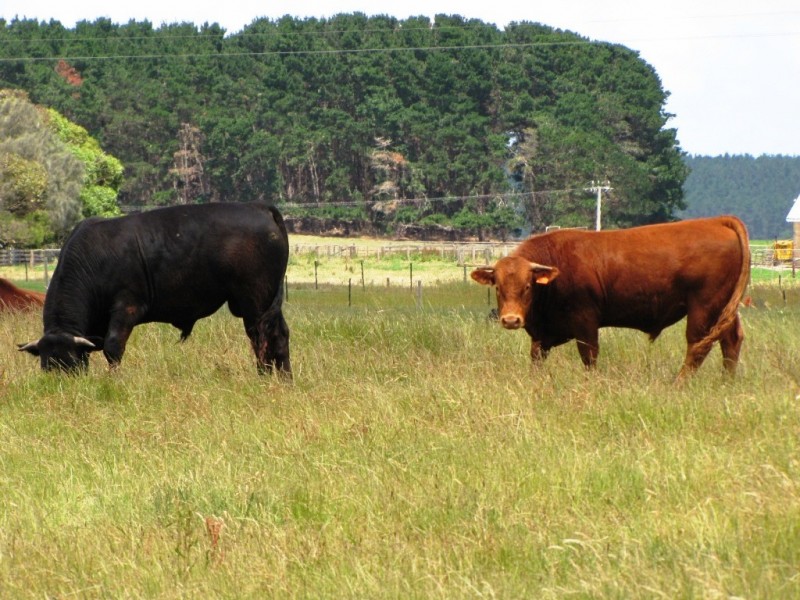 612 Megaw Road, Compton SA 5291