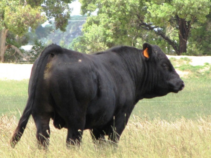 612 Megaw Road, Compton SA 5291