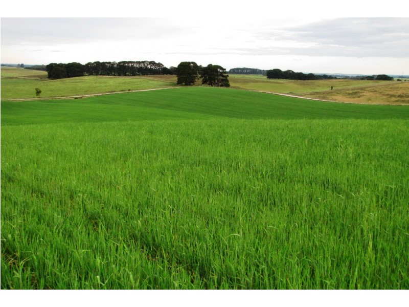 Sec 307 Bishop Road, Mount Gambier SA 5291