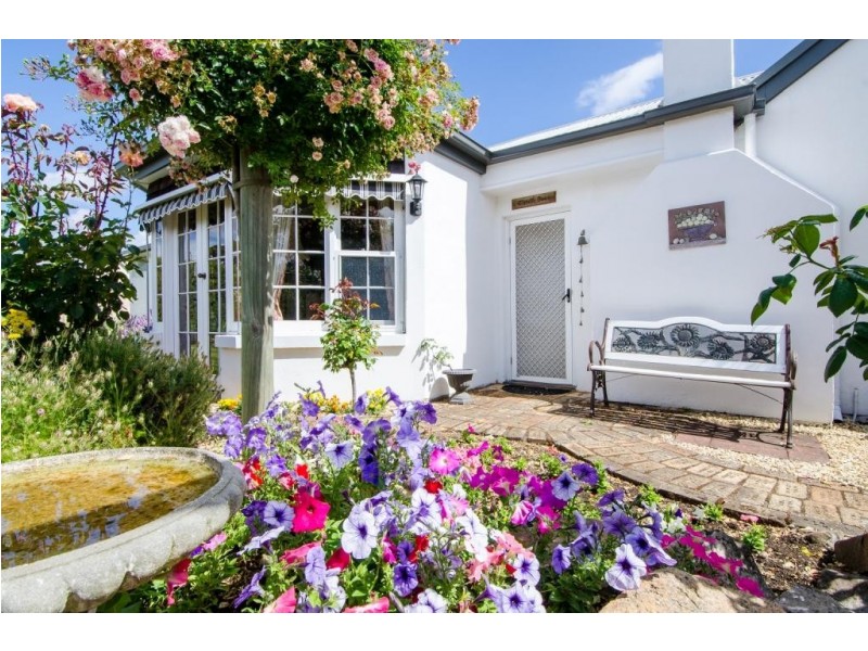 169 Bay Road,, Mount Gambier SA 5290