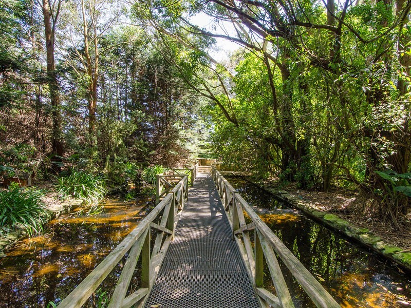 116 Brim Brim Road, Mount Gambier SA 5290