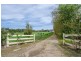 83 Lake Edward Road, Glencoe SA 5291