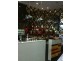 Broadway NSW 2581