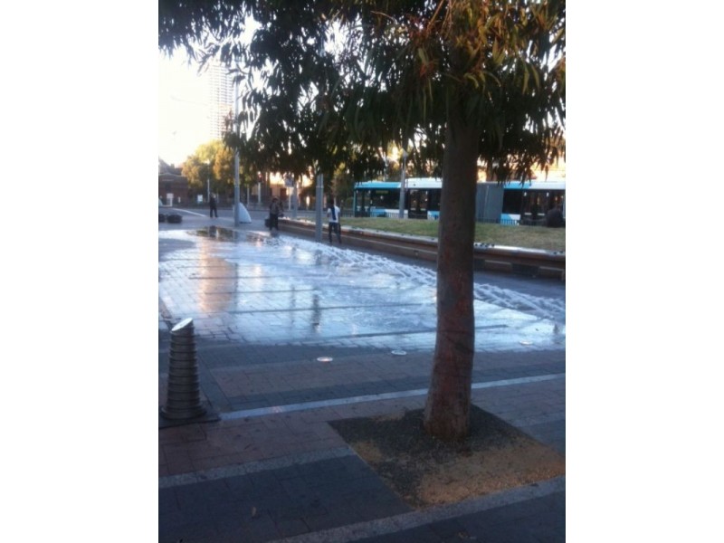 Surry Hills NSW 2010