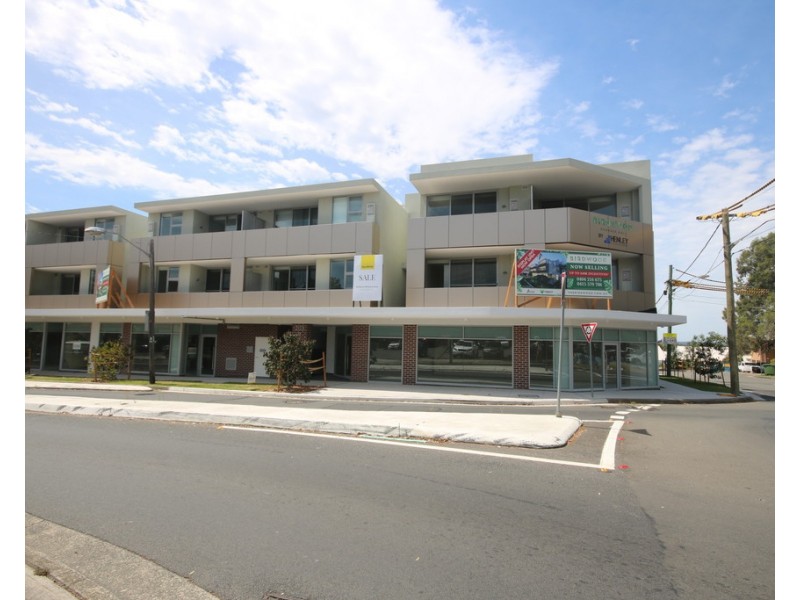 115/203 Birdwood Road, Georges Hall NSW 2198