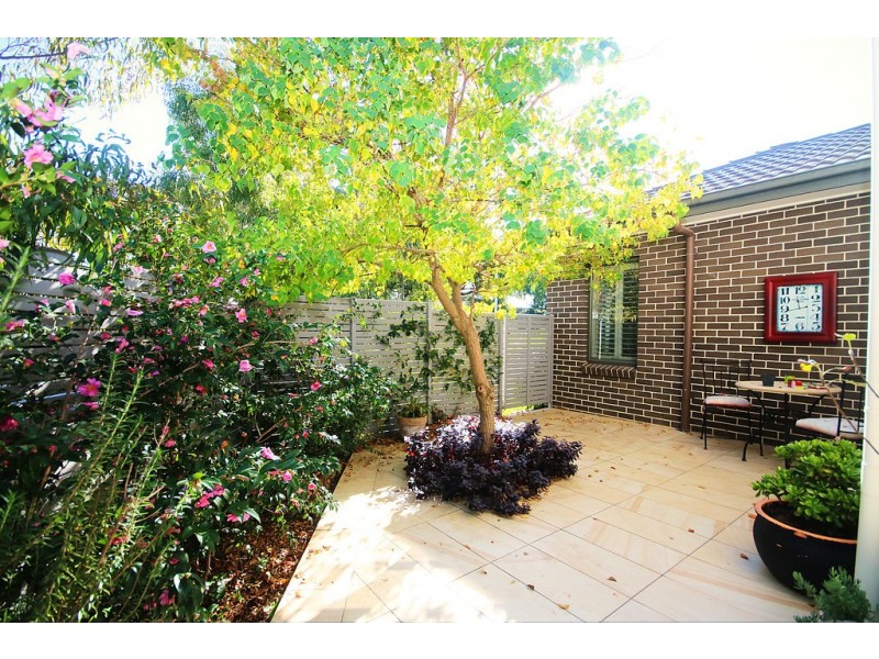 26 Eucalyptus Street, Lidcombe NSW 2141