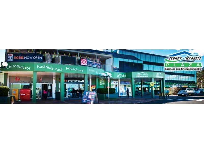 250 Parramatta Road, Homebush NSW 2140