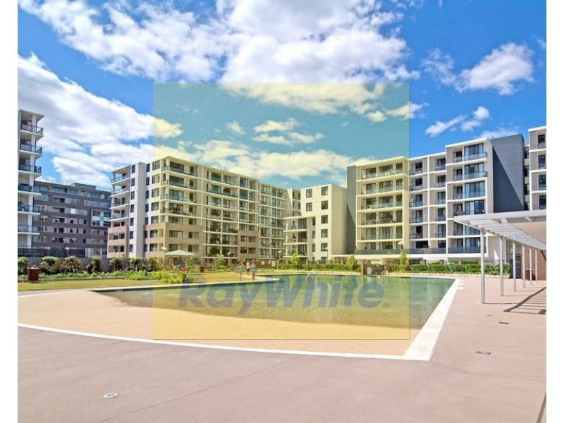 527/43 Amalfi Drive, Wentworth Point NSW 2127