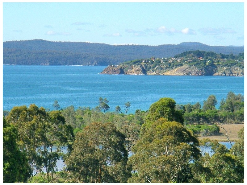 25 TRUMPETER AVE, Eden NSW 2551