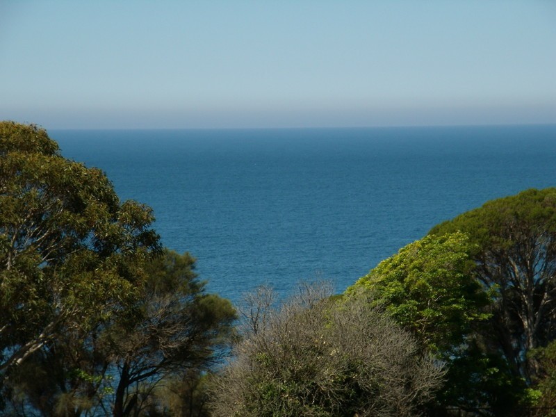 2 BASS STREET, Eden NSW 2551