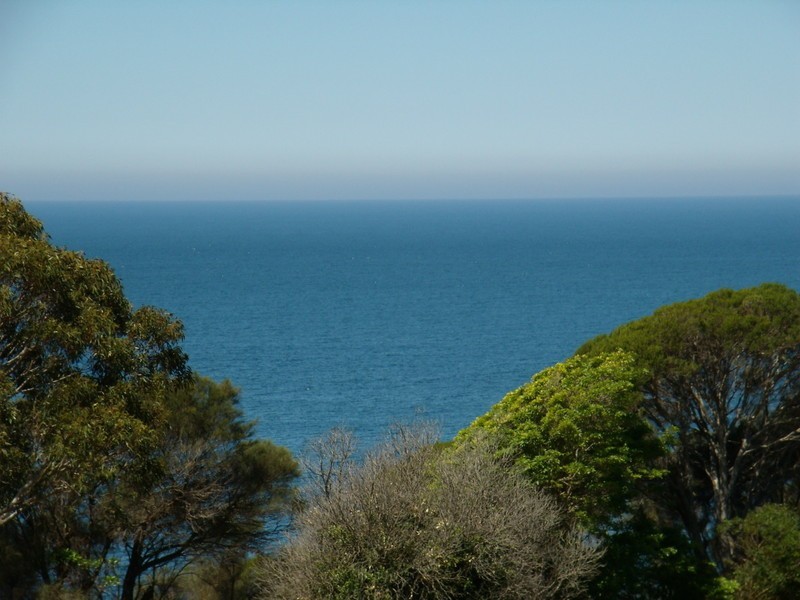 2 BASS STREET, Eden NSW 2551