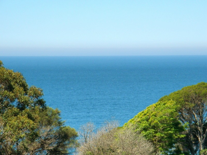 2 BASS STREET, Eden NSW 2551