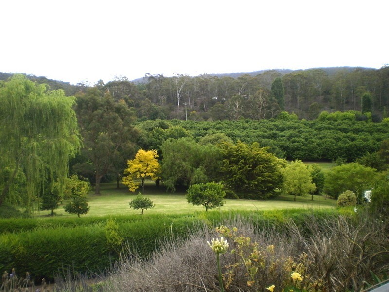 16 EURACK COURT, Kiah NSW 2551