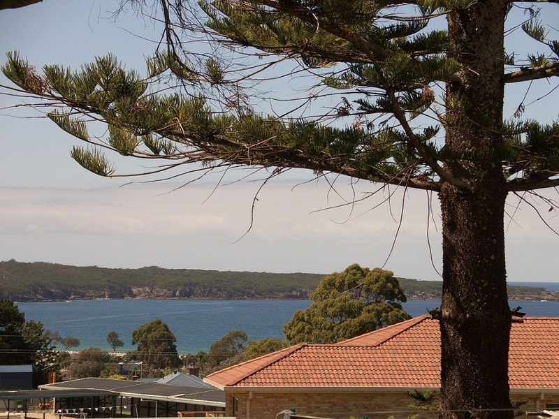 53 BUNGO STREET, Eden NSW 2551