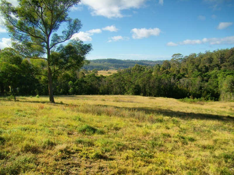 VARIOUS BOGGY CREEK ROAD, Millingandi NSW 2549