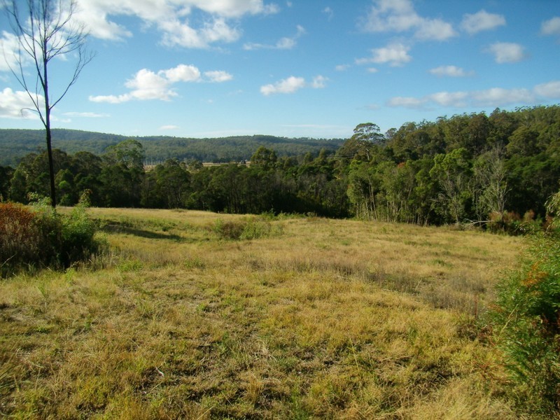 VARIOUS BOGGY CREEK ROAD, Millingandi NSW 2549