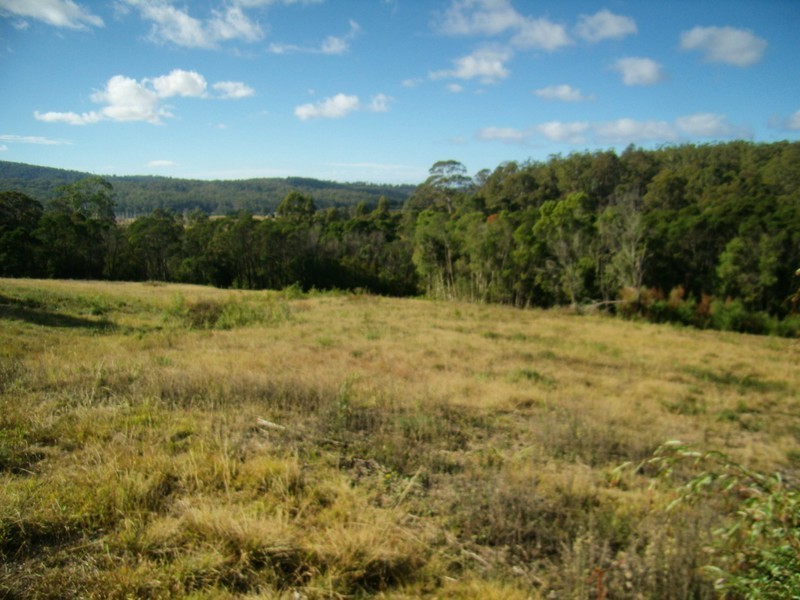 VARIOUS BOGGY CREEK ROAD, Millingandi NSW 2549