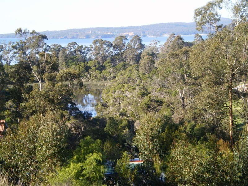 17 WHALE COVE CIRCUIT, Eden NSW 2551