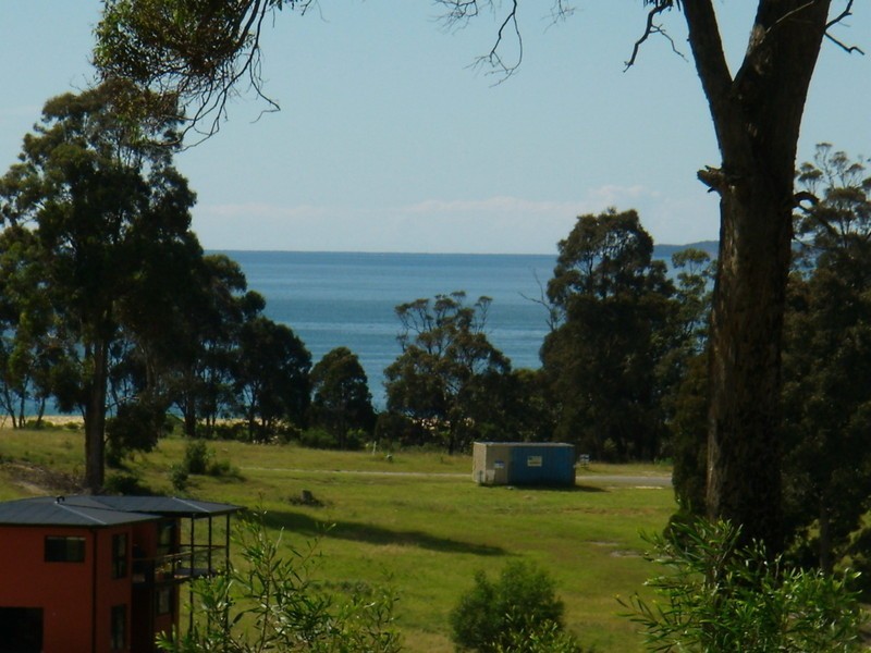 403 MARLIN AVENUE, Eden NSW 2551