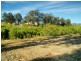 Eden NSW 2551