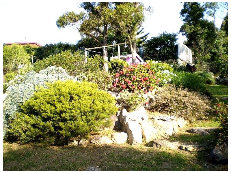 46 MT DARRAGH RD, South Pambula NSW 2549