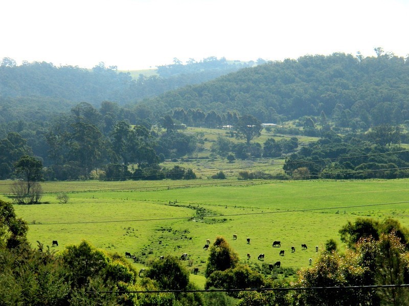 46 MT DARRAGH RD, South Pambula NSW 2549